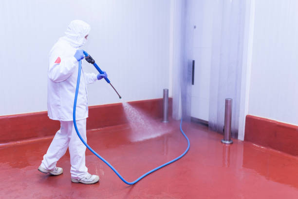 Best Solar Panel Cleaning  in Wendover, UT